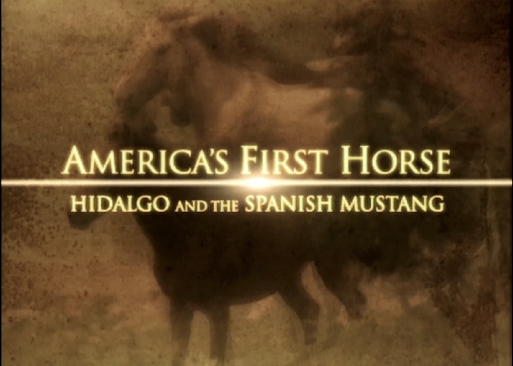 America's First Horse: Hidalgo and the Spanish Mustang