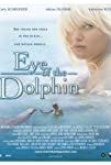 Eye of the Dolphin