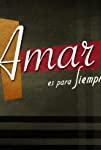 Amar en tiempos revueltos