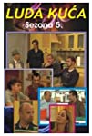 Luda kuca