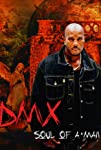 DMX: Soul of a Man