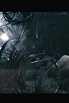 The Lost Spider Pit Sequence