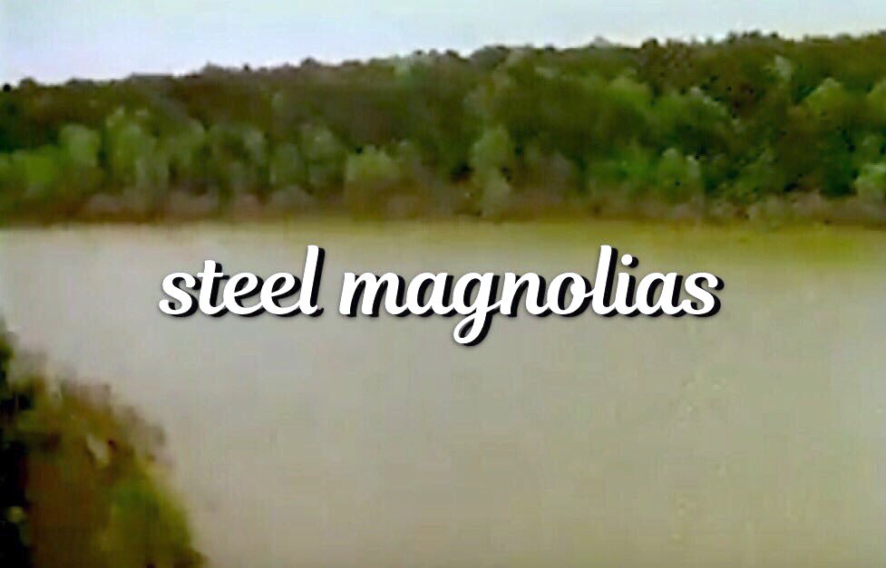 Steel Magnolias