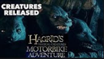 Hagrid's Magical Creatures Motorbike Adventure - pre-show