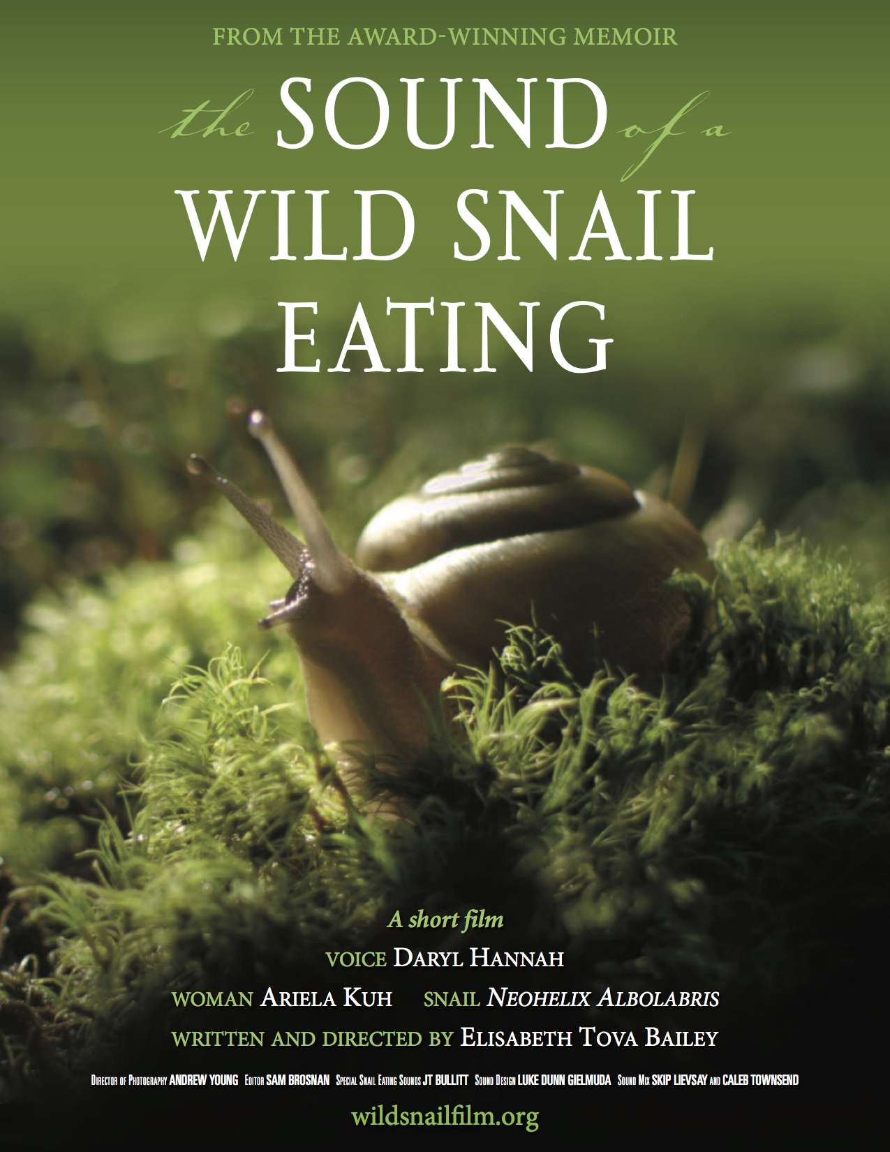 The Sound of a Wild Snail Eating