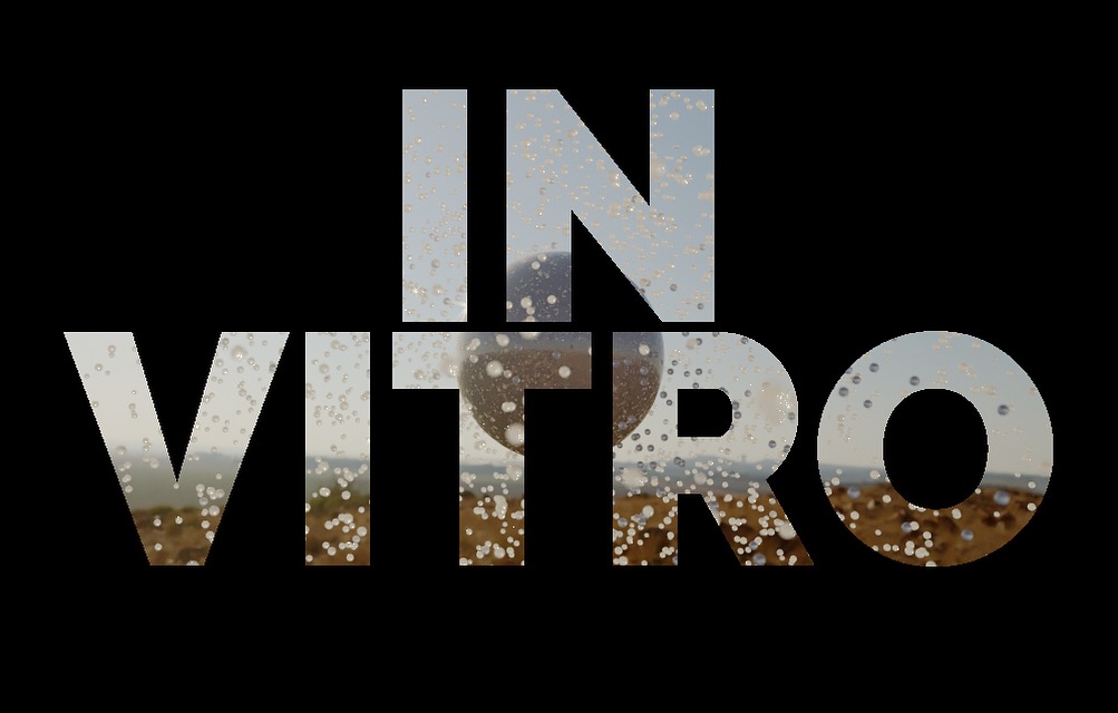 In Vitro