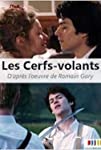 Les cerfs-volants