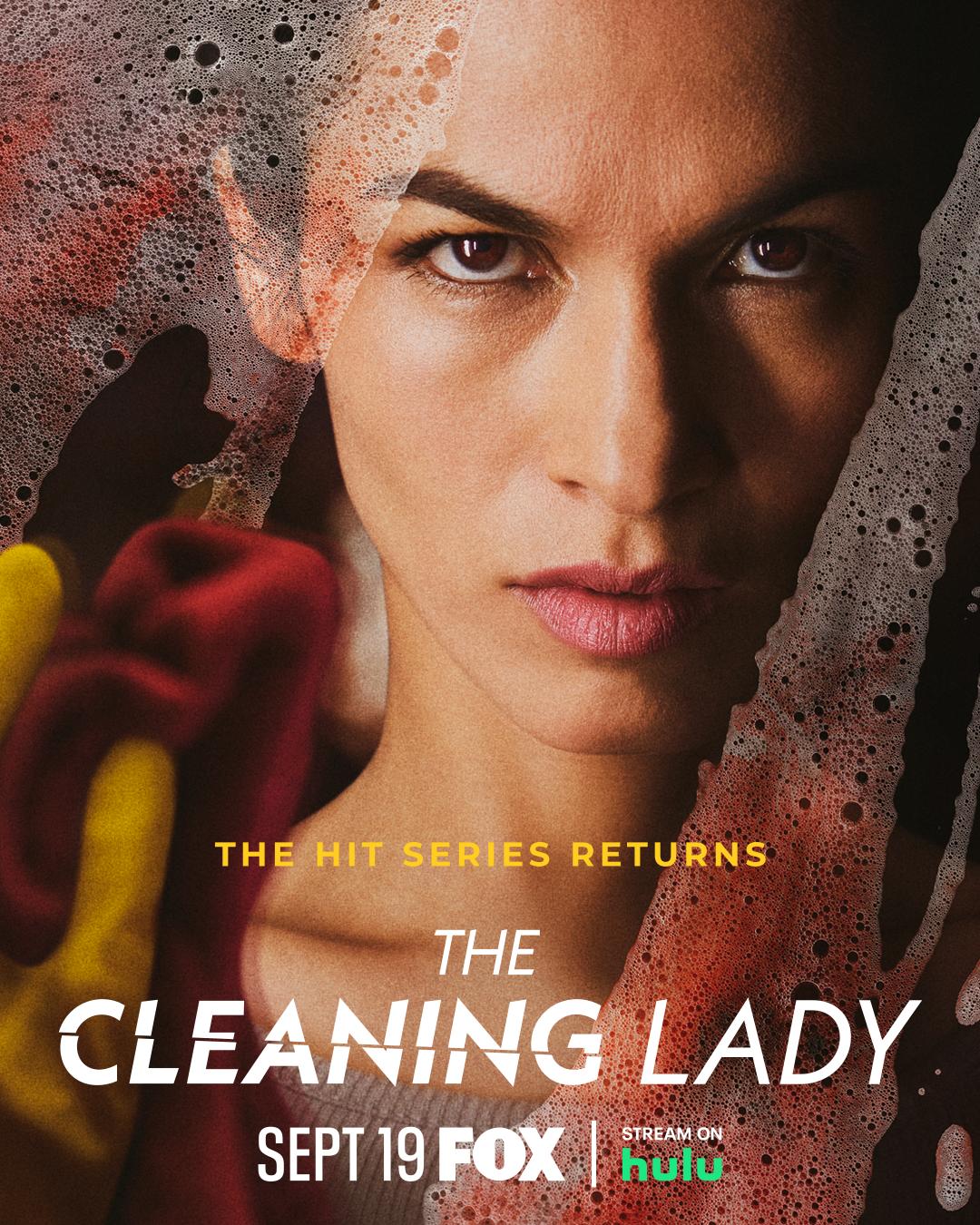 The Cleaning Lady