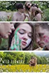 Wild Flowers