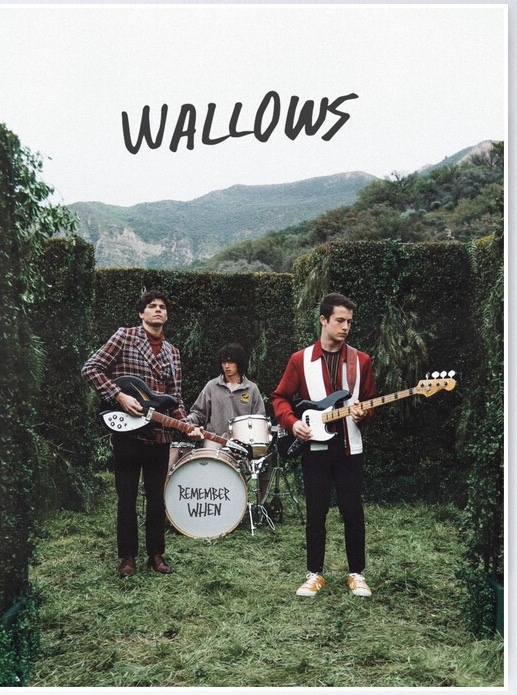 Wallows: Remember When