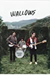 Wallows: Remember When