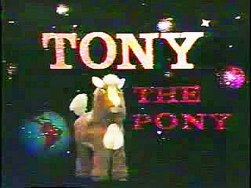 Tony the Pony