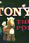 Tony the Pony