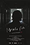 Miracle Fish