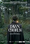 Dawn Chorus