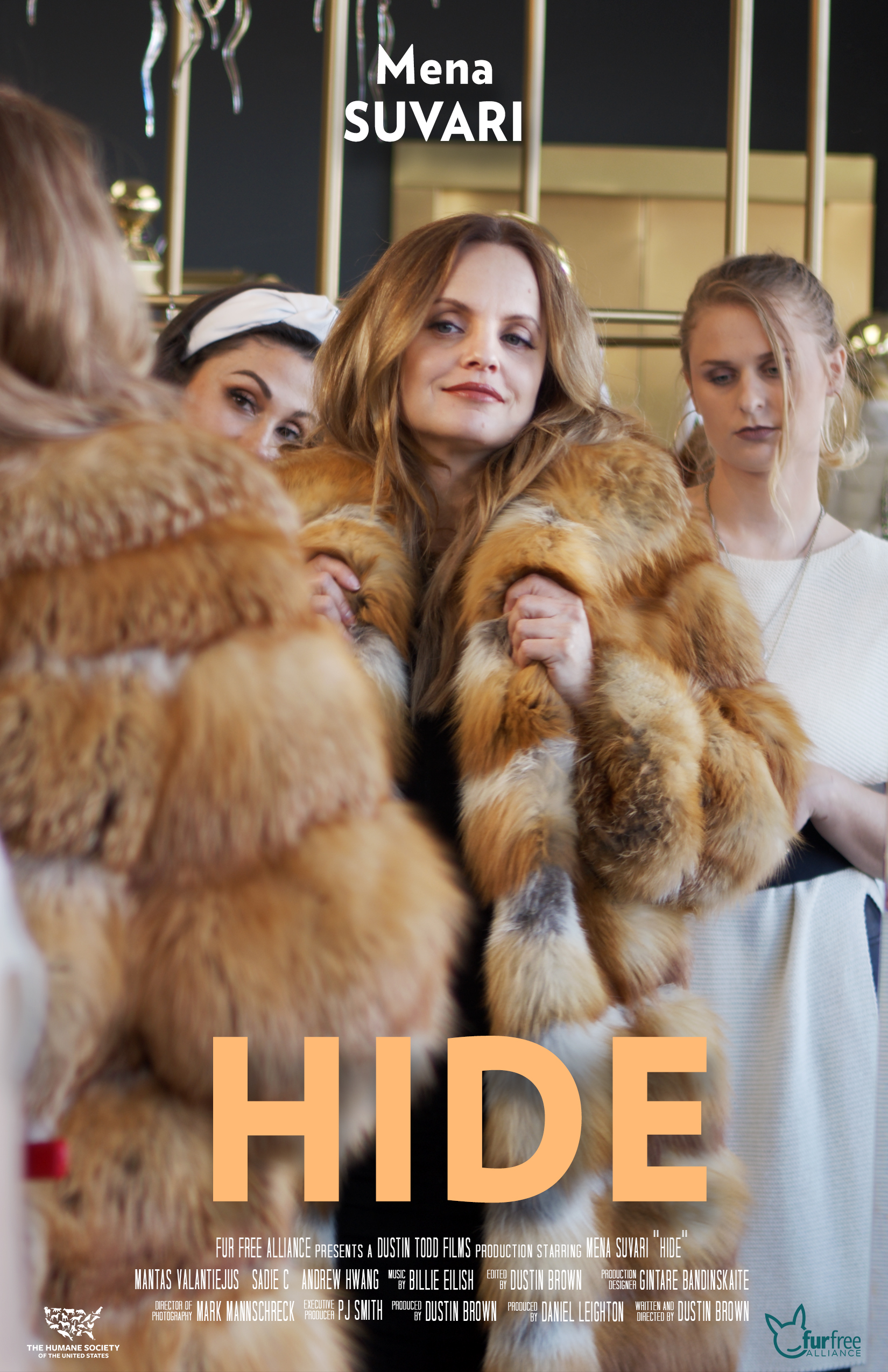 Hide
