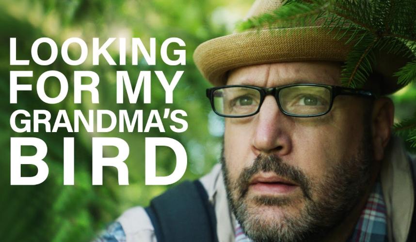 Looking for My Grandma's Bird