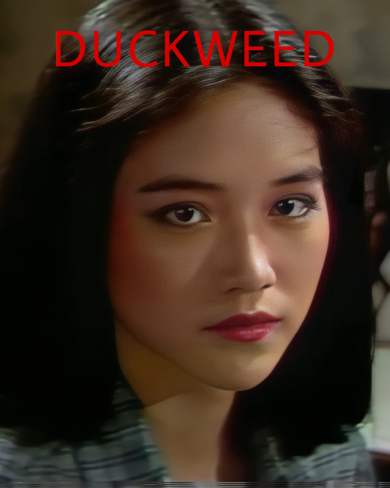 Duckweed