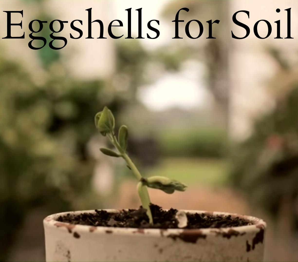 Eggshells for Soil