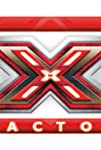 X Factor