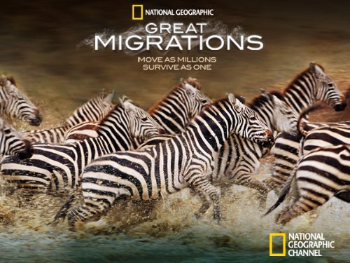 Great Migrations