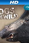 Hogs Gone Wild