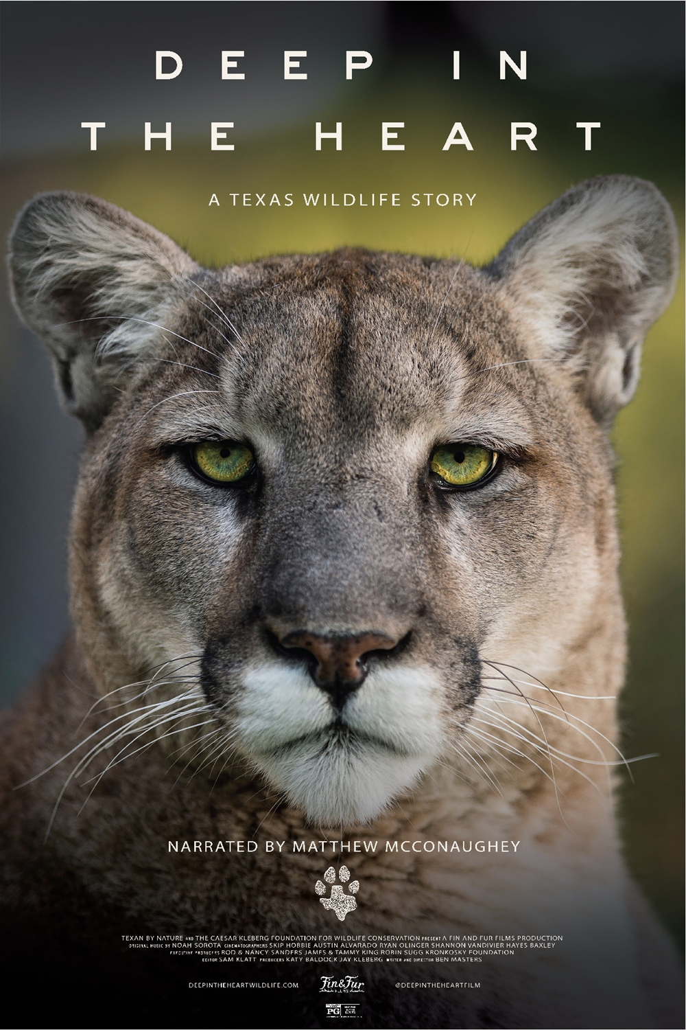 Deep in the Heart: A Texas Wildlife Story