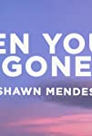 Shawn Mendes: When You're Gone