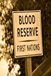 Bloodland