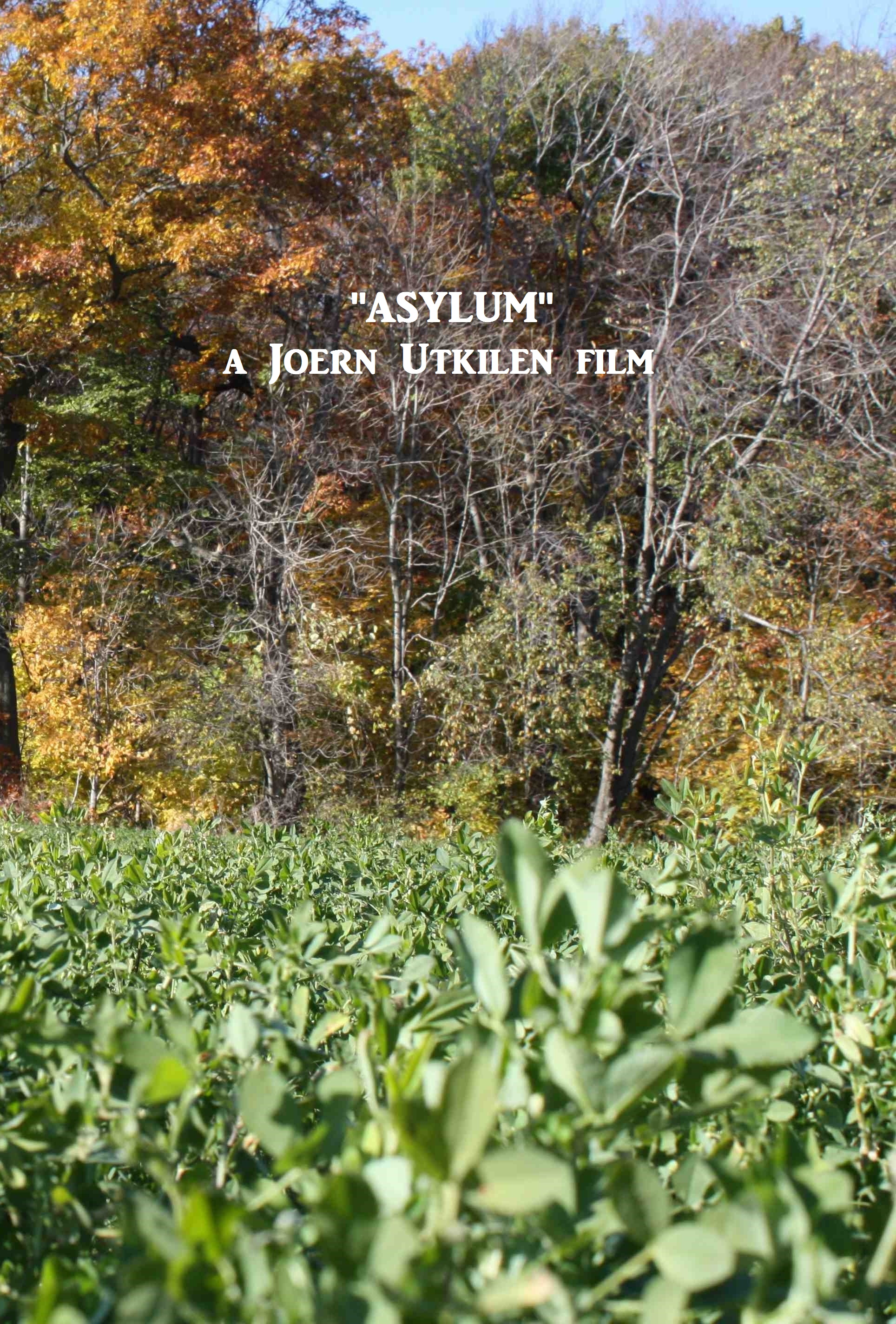 Asylum