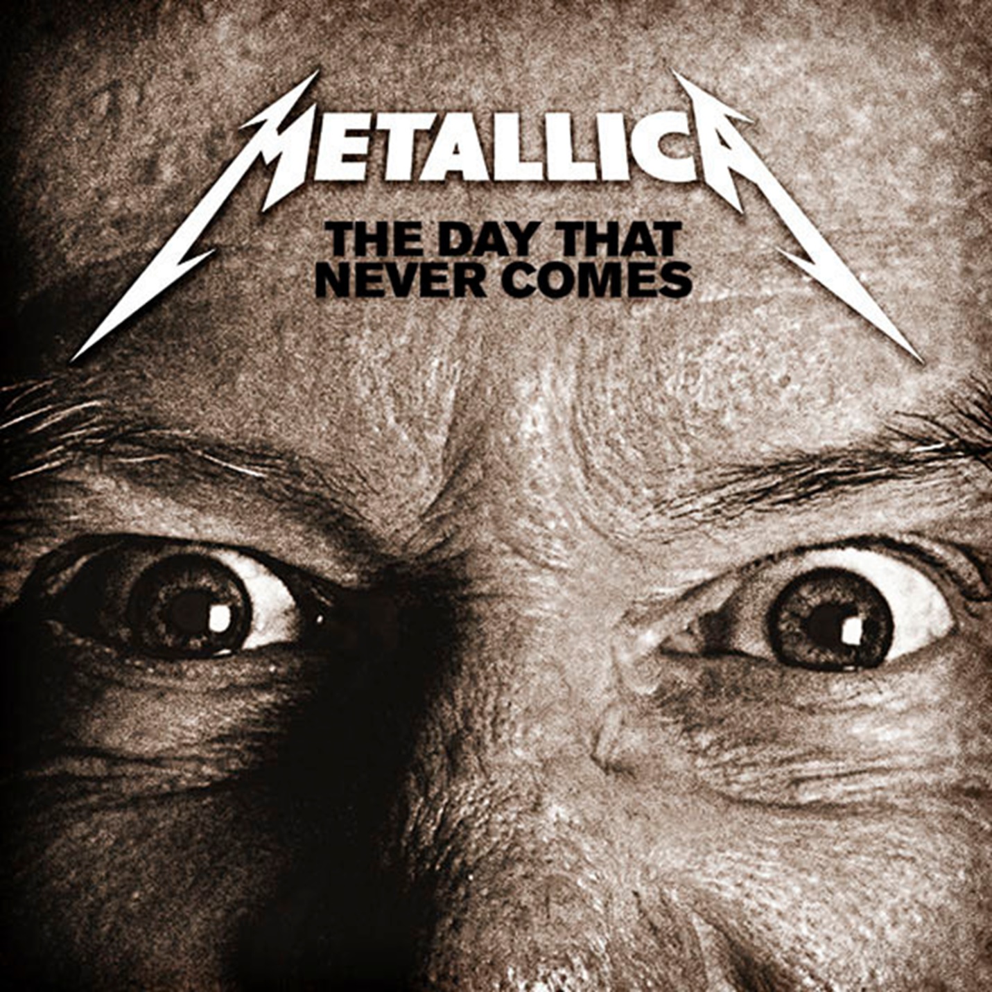 Metallica: The Day That Never Comes