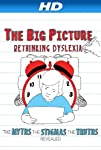 The Big Picture: Rethinking Dyslexia