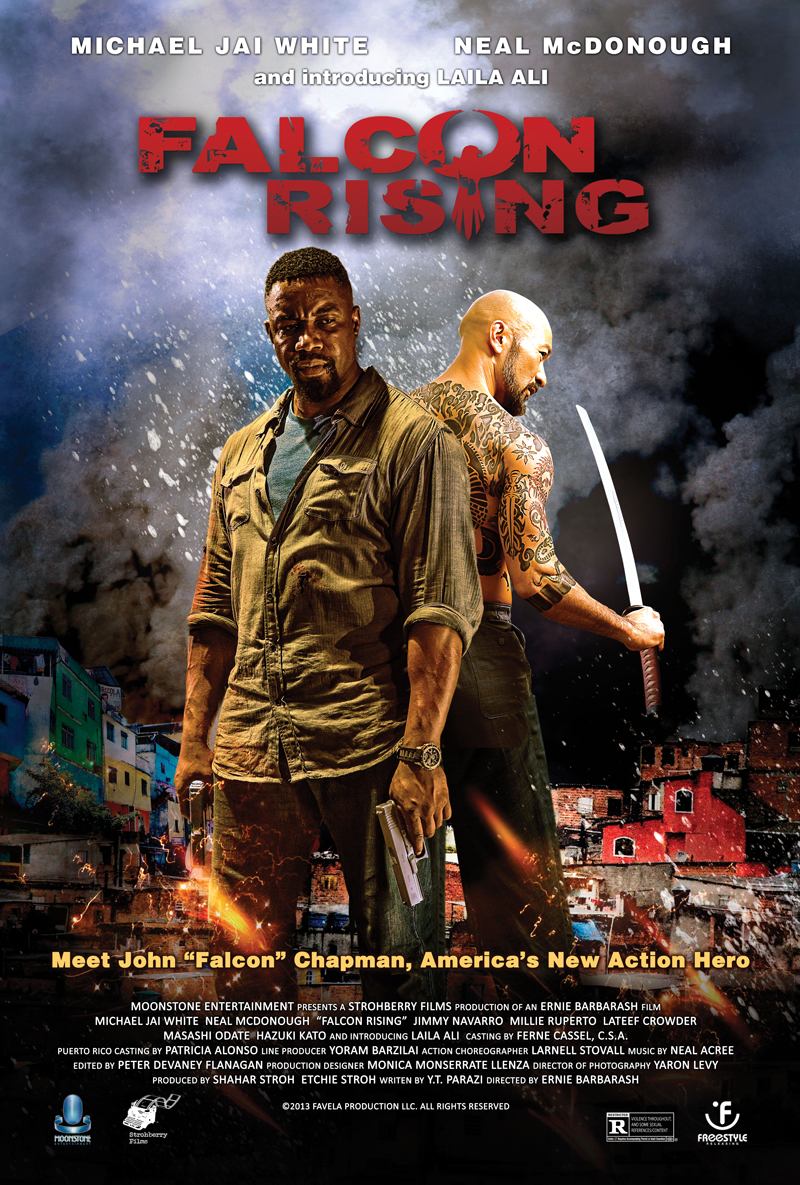 Falcon Rising