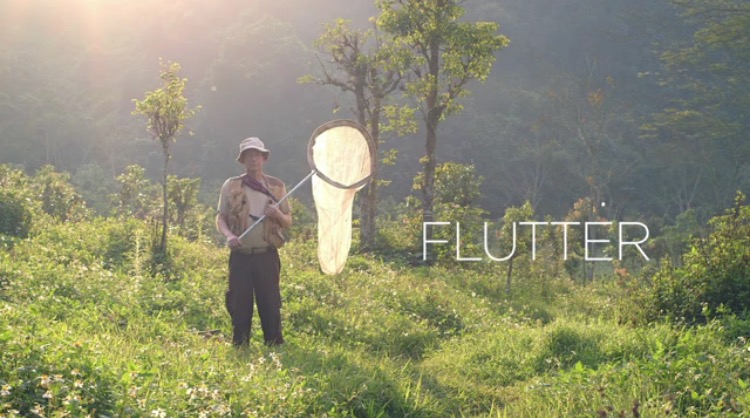Flutter