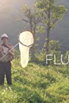 Flutter