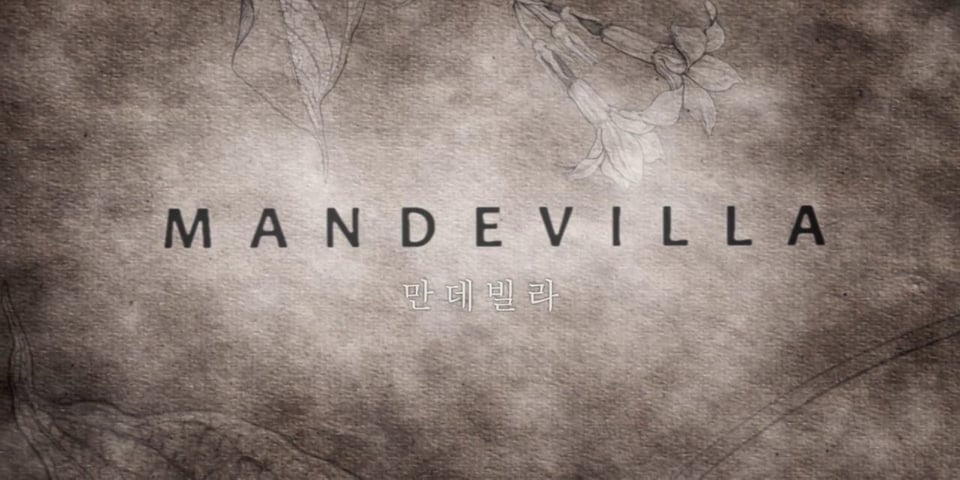 Mandevilla
