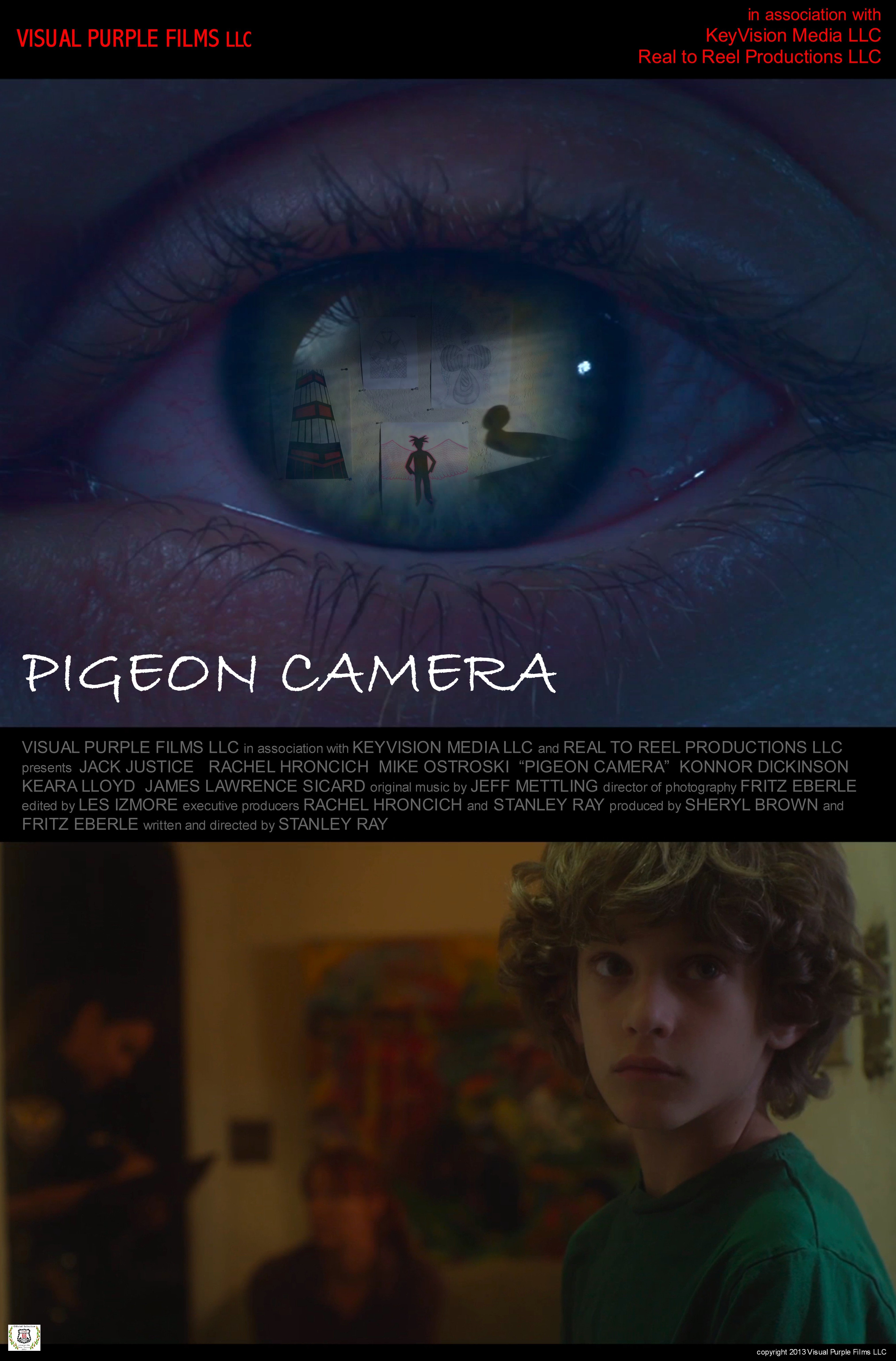 Pigeon Camera