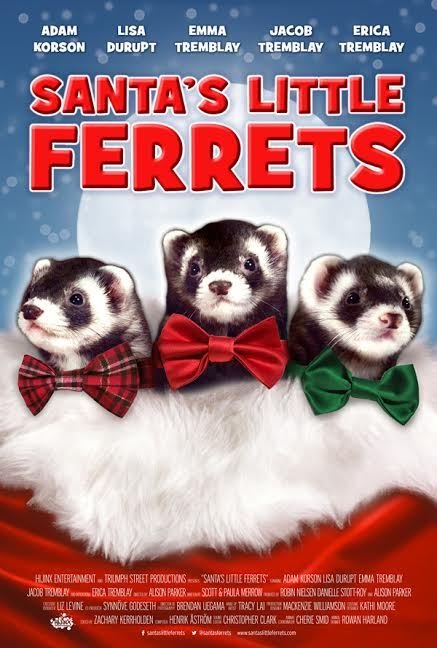 Santa's Little Ferrets