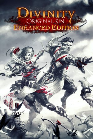 Divinity: Original Sin