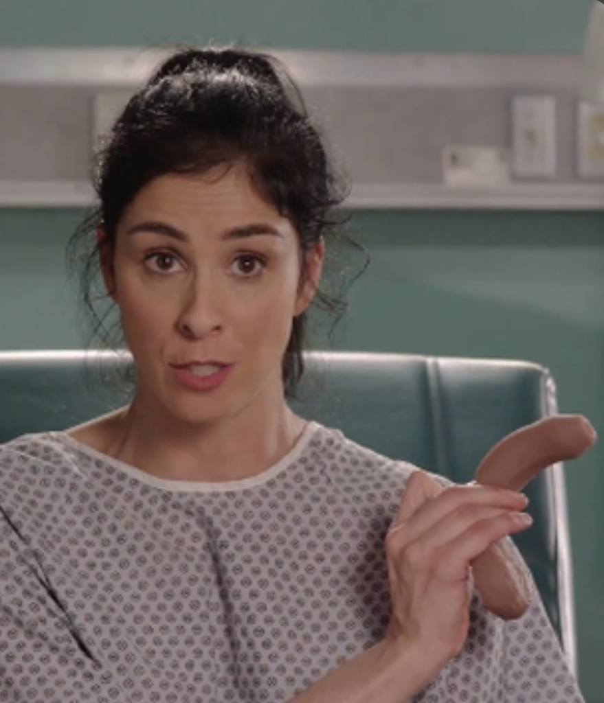 Sarah Silverman Closes the Wage Gap