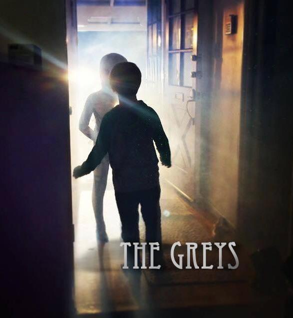 The Greys