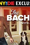 The Bachelor with Dogs and Scott Eastwood