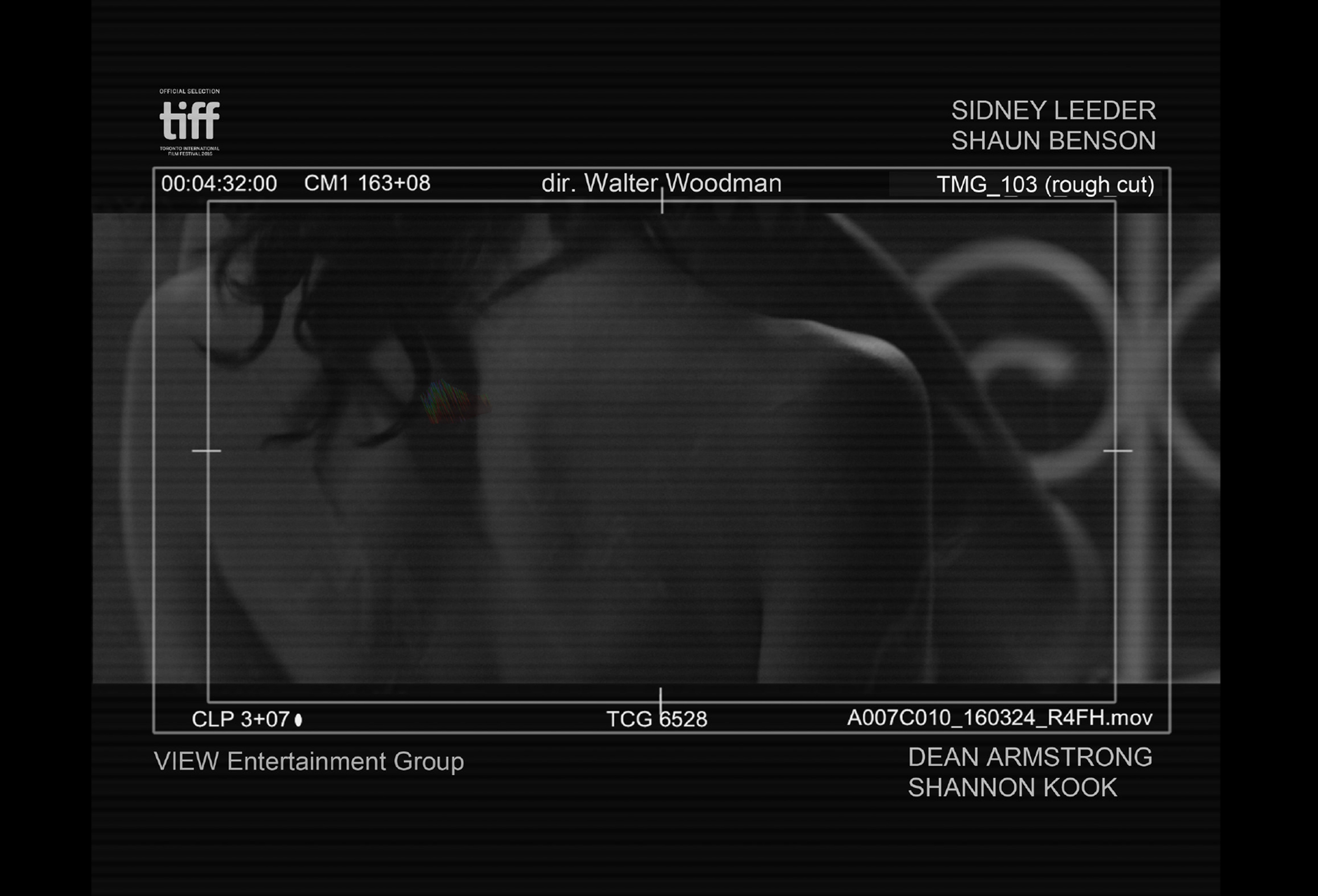 Rough Cut
