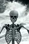 The Killers: Bones