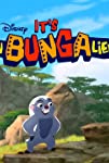 Lion Guard: It's Unbungalievable