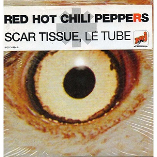 Red Hot Chili Peppers: Scar Tissue