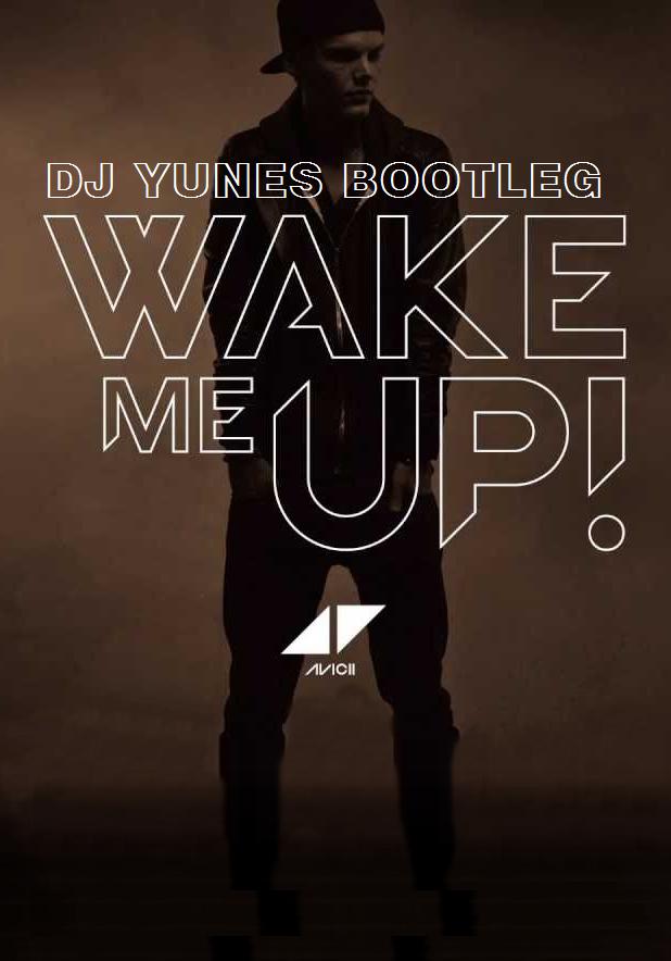 Avicii: Wake Me Up