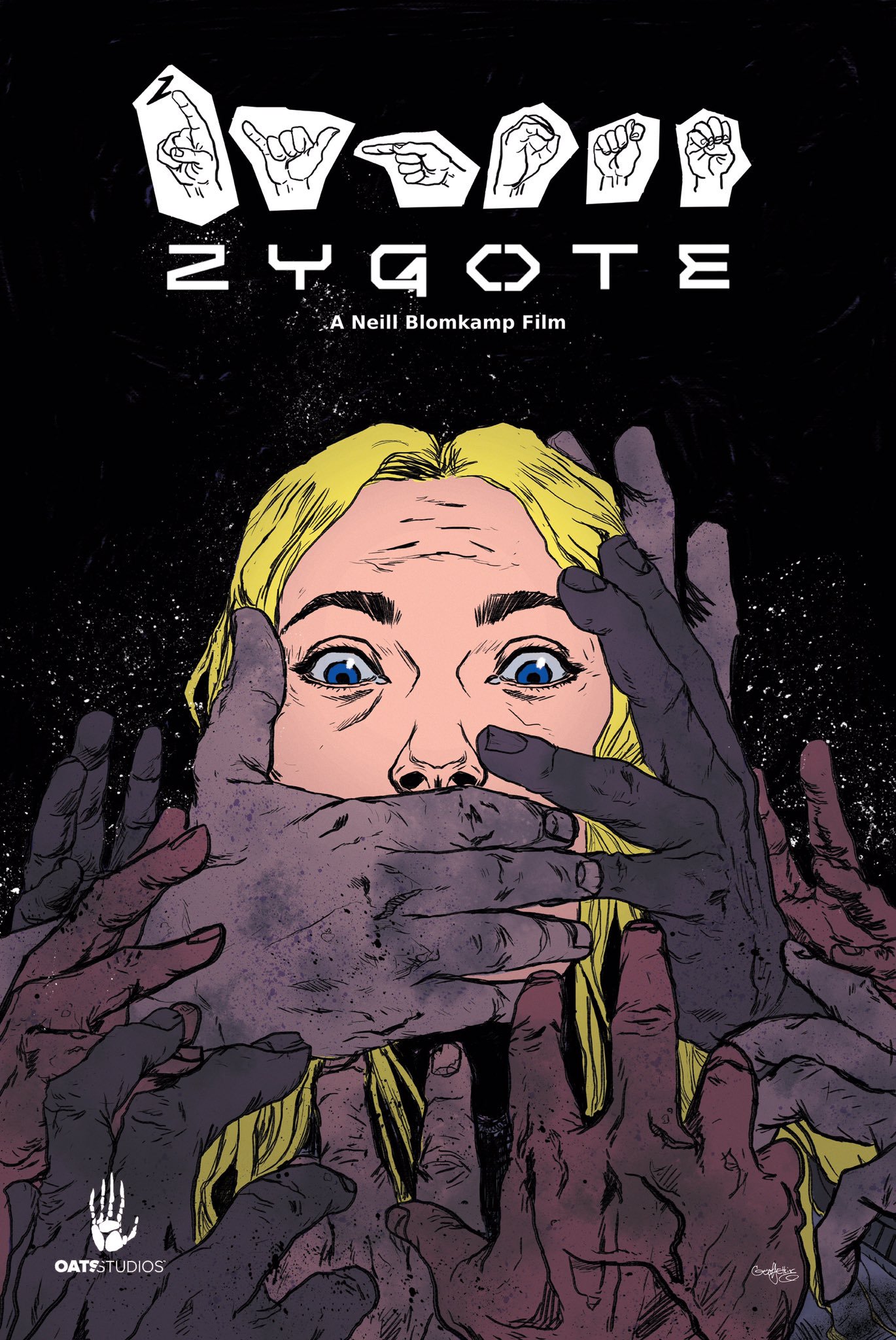 Zygote