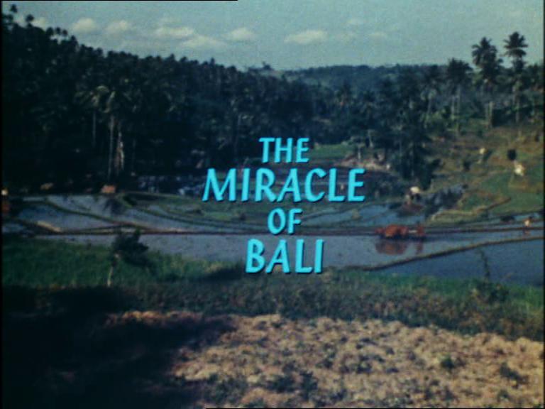 The Miracle of Bali