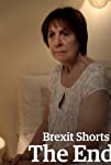 Brexit Shorts: The End